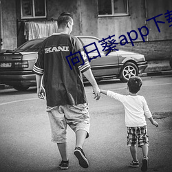 向日葵app下載汅api免費