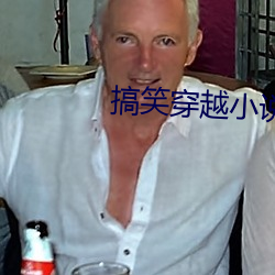搞笑穿越小说 （束手无措）