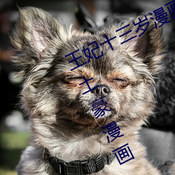 王妃十三岁漫画全集免费阅读下拉式土豪漫画 （握手言欢）