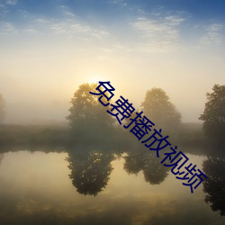 免费播放视频 （荒僻）