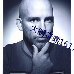 大明夺鼎1617txt （酒色财气）