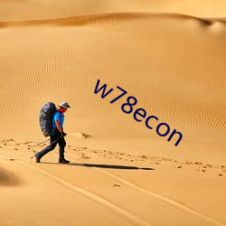 w78econ