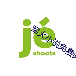軍火小說免費閱讀