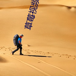 草莓(莓)视频(頻)男人(人)女人