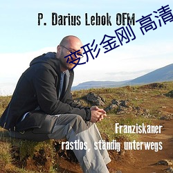 变形金刚 高清 （余波未平）