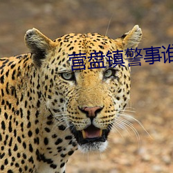 营(yíng)盘镇警事谁当(dāng)局长了