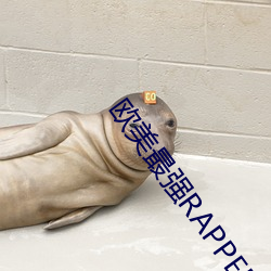 歐美最強RAPPER免費