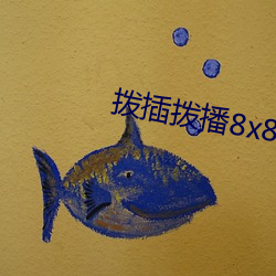 拨插拨播8x8x海外