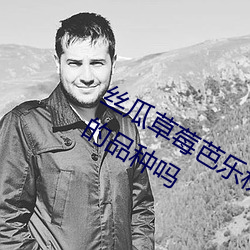 絲瓜草莓芭樂秋葵黃瓜向日葵是改良後的品種嗎