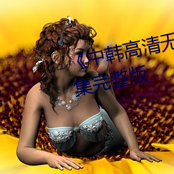 《中(zhōng)韩高(gāo)清无专(zhuān)砖(zhuān)马区2022》全集完整版(bǎn)