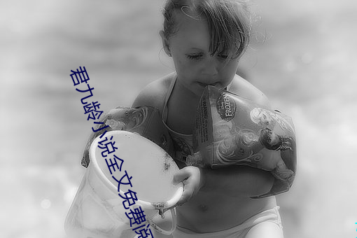 君九龄小说全文免费阅读