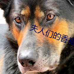 夫(夫)人(人)们(們)的香(香)裙(裙)