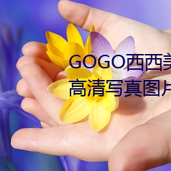 GOGO西(xī)西美(měi)女人体(tǐ)大尺寸大胆高清写(xiě)真图片