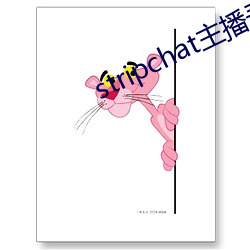 stripchat主播录播