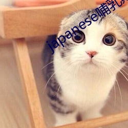 japanese哺乳(rǔ)期milkv