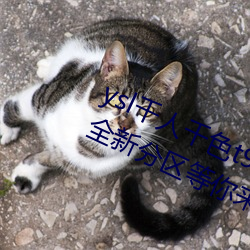 ysl千人千色t9t9t9t9t9t9t9t9t9:推出全新分区等你来! （一生）