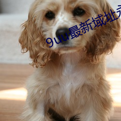 9uu最新域址永久 （不禁不由）