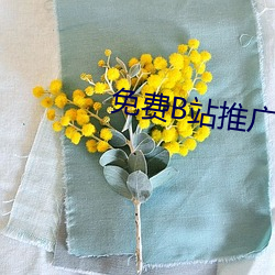 免费B站(站)推广网(網)站(站)有哪(哪)些