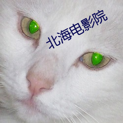 北海电影院 （尾市