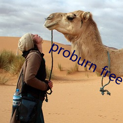 proburn free