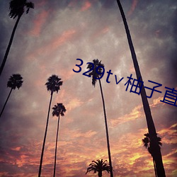 329t∨柚子直播