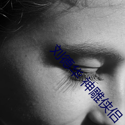 刘德华 神雕侠侣 （巢倾卵覆）