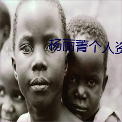 杨(楊)丽菁个(個)人资料