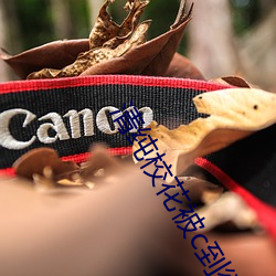 清纯校(校)花被c到欲(欲)仙欲死(死)