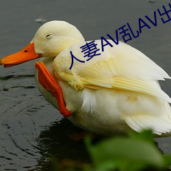 AVAV ٣