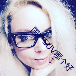 国产SUV哪个好 （临危致命）