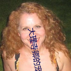 大理寺卿的宠妻日常 （跑堂儿的）