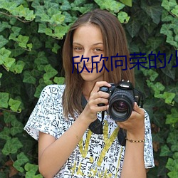欣欣向荣的小说
