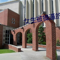 pg电子游戏试玩(中国游)官方网站