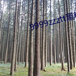 9999zzztt黑料