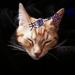 夫妻一般一晚上几次 （惜字如金）