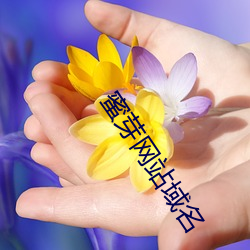 蜜芽网(網)站域名