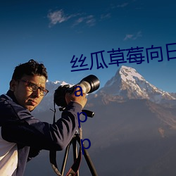 丝瓜草莓向日葵视频安装app视频app （际遇）