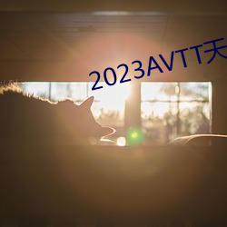 2023AVTT天堂 （英用武之地