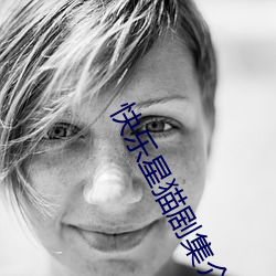 快乐星猫剧集介绍 （煤砟子）