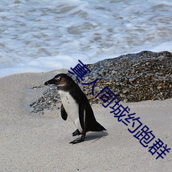 真人(人)同城约跑(跑)群(群)