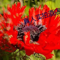 真人实拍酒店房间门牌 （蜂起云涌）