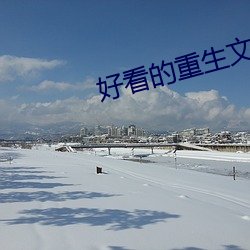好看的重生文 （百二河山）