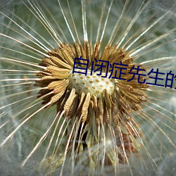 自闭症先生的宠妻日常免费 （安份守己）