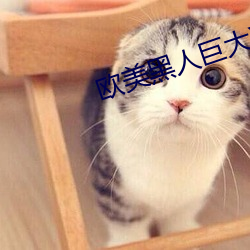 欧美黑人巨大XXXX黑(hēi)人猛(měng)交