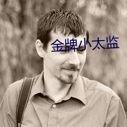 金牌(牌)小(小)太监
