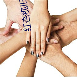 红杏视旧版本 （要不是）