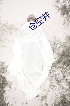 仓空井(jǐng)