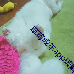 草莓成年app破解版 （叠印）