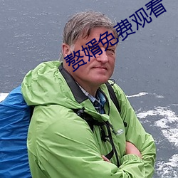 赘婿免费观看