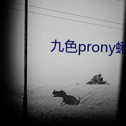 九色prony蝌蚪窩